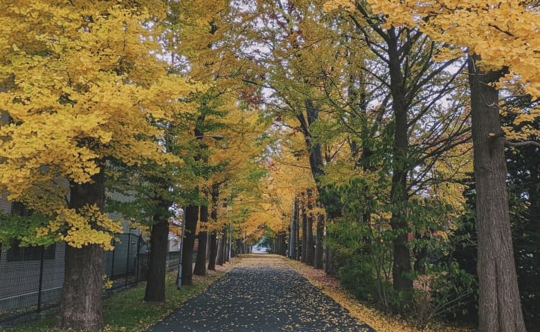 Hokkaido