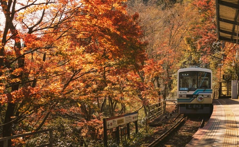 Things to Do in Kyoto During Autumn