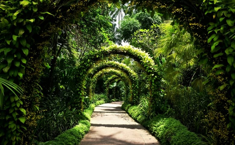 Tips for Visiting the Botanic Garden Singapore