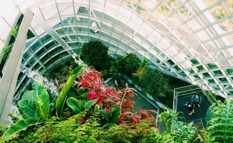 National Orchid Garden