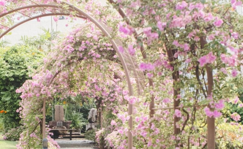 Japanese Cemetery Park