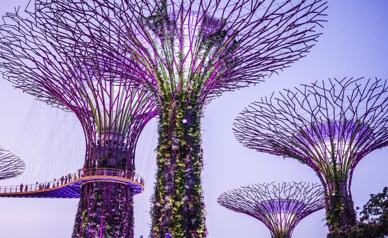 How to Extend Tourist Visa in Singapore Online