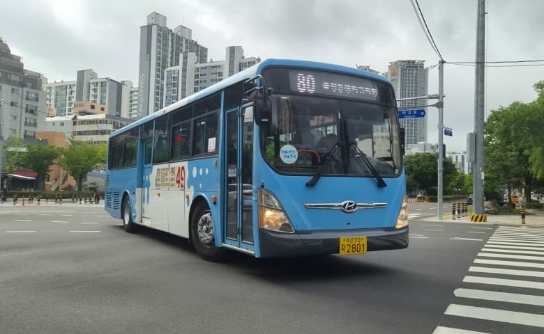 Public Transport Access in Major Districts