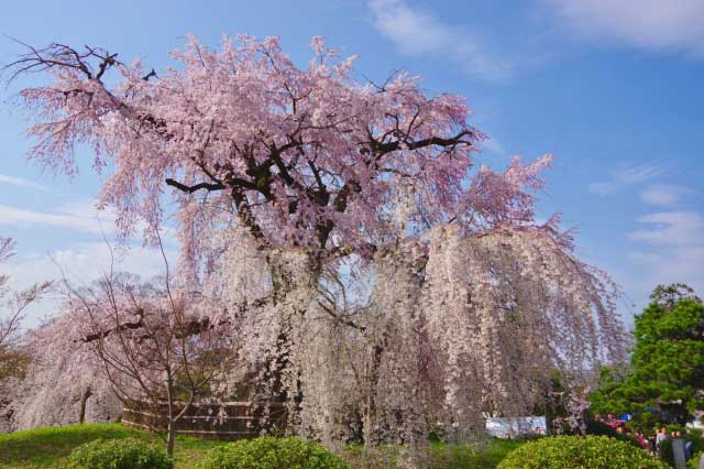 Maruyama Park