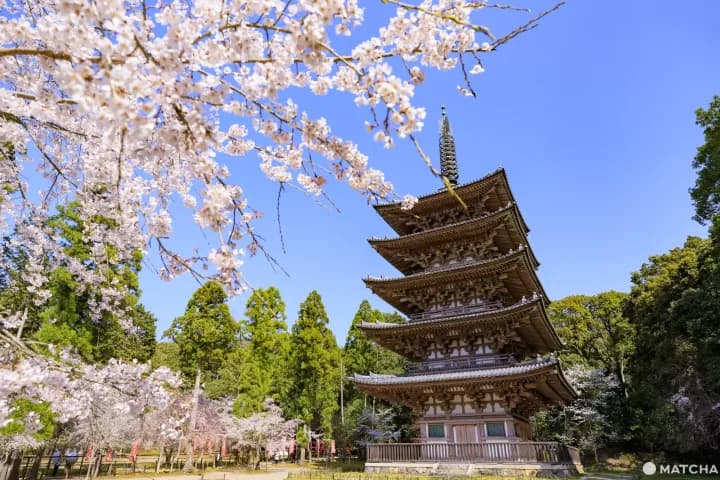Daigo-ji Temple