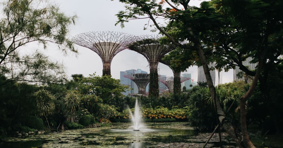Singapore Botanical garden
