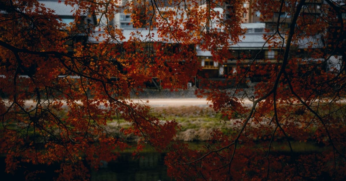 Kamo River Kyoto in Autumn