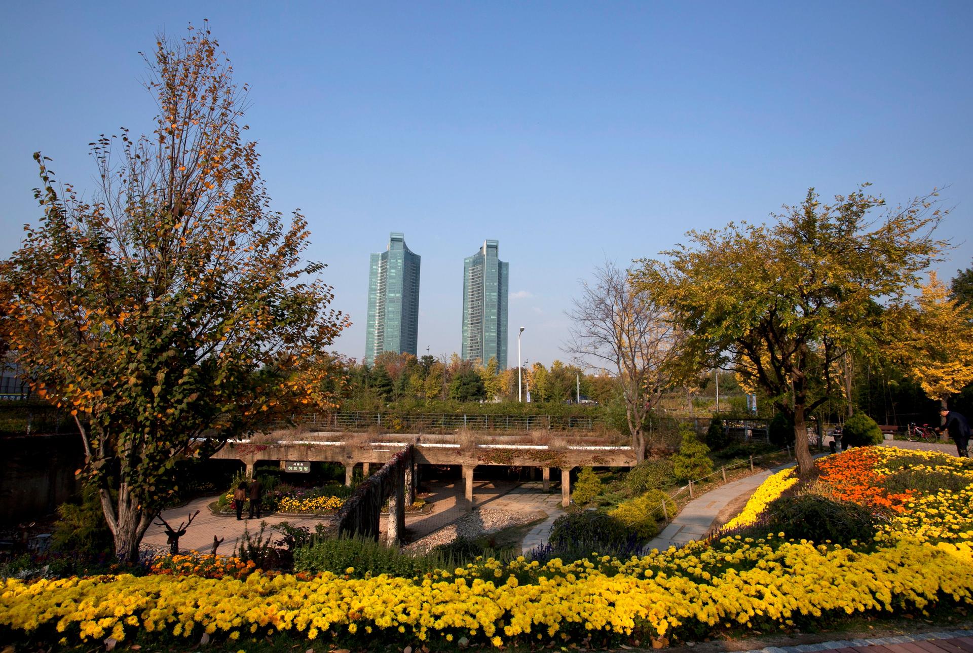 South Korea Itinerary 10 Days Autumn—Seoul to Busan