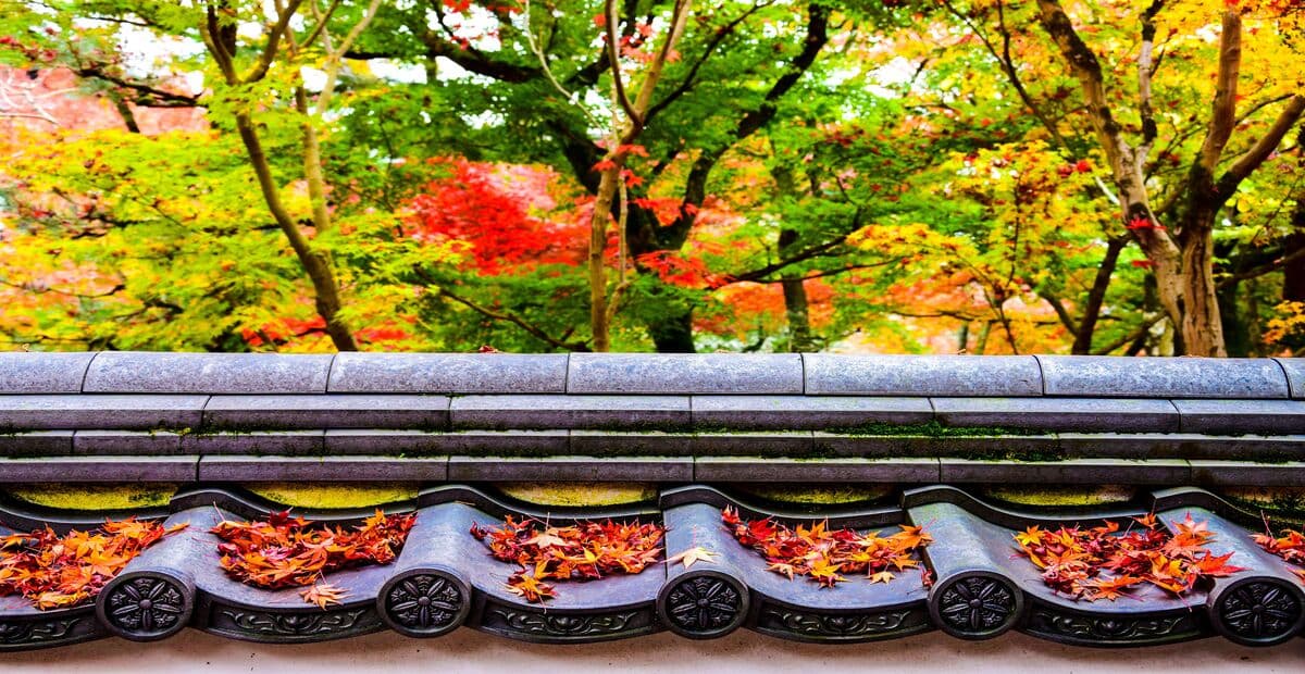 3-Week Japan Itinerary Autumn