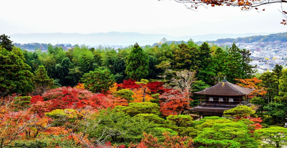 Best Kyoto Autumn Temple to See Stunning Red Leaves