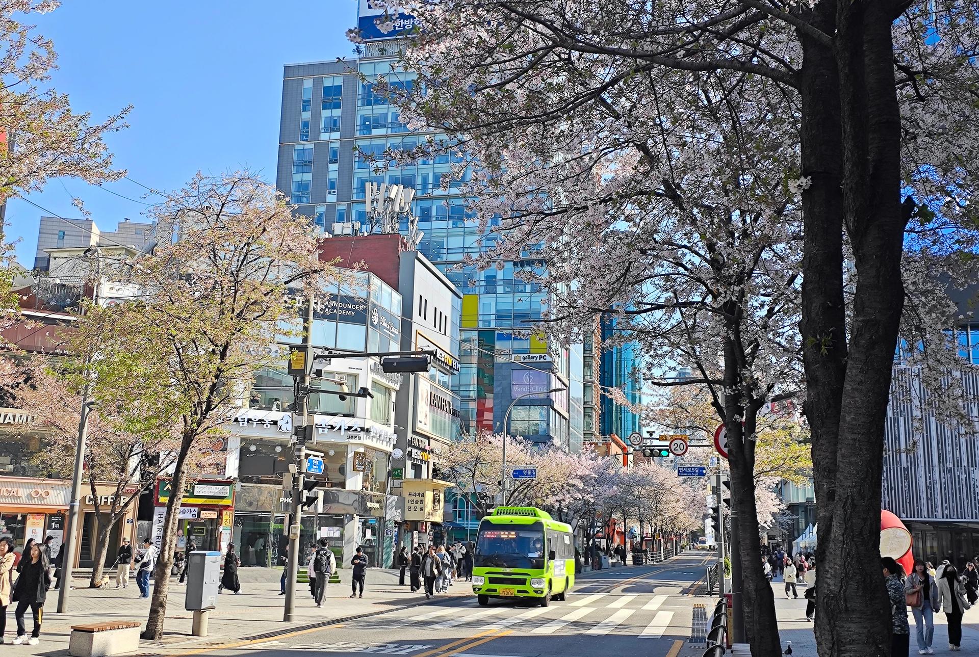 3-Day Seoul Concert Itinerary for K-pop Fans: Sightseeing & Concert Guide