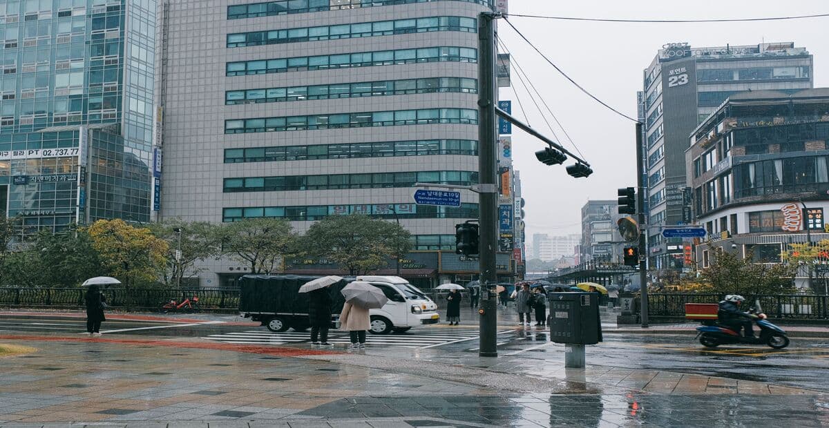 Seoul Weather Guide—Best Times to Visit, Seasons & What to Pack