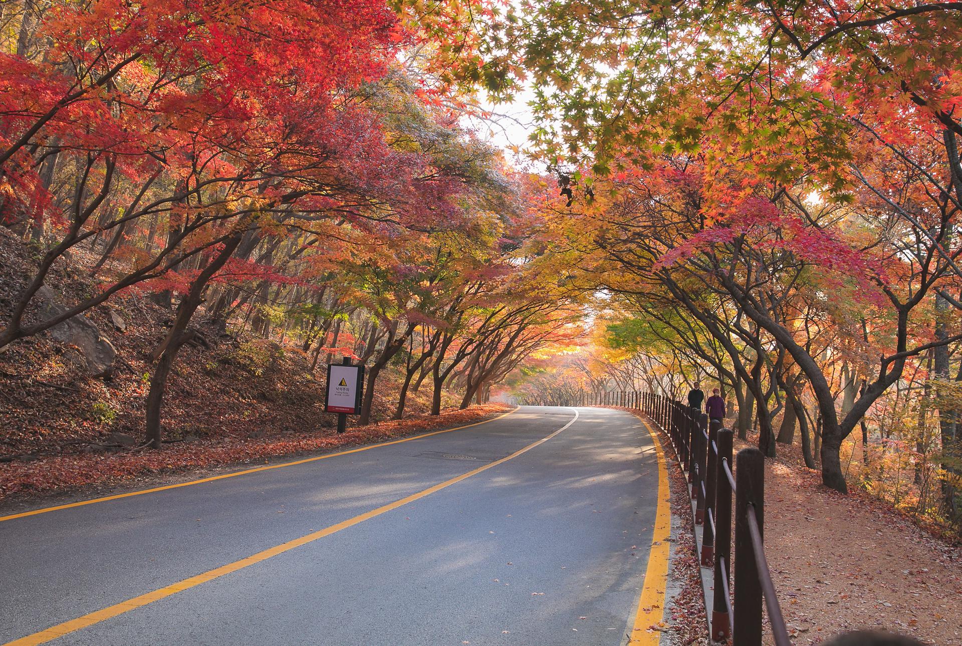 Top Places & Best Time to Visit During Autumn in Korea