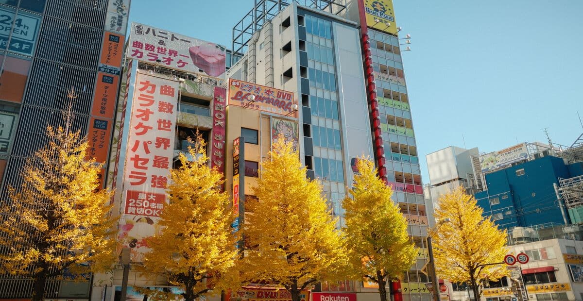 Osaka Dotonbori Autumn Guide: Neon Nights, Food, and Evening Walks