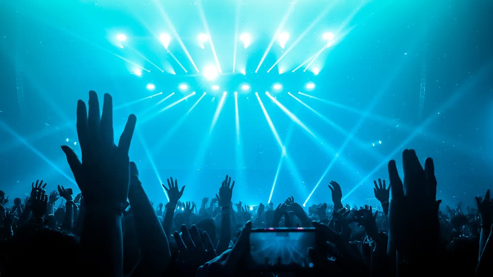 concert crowd