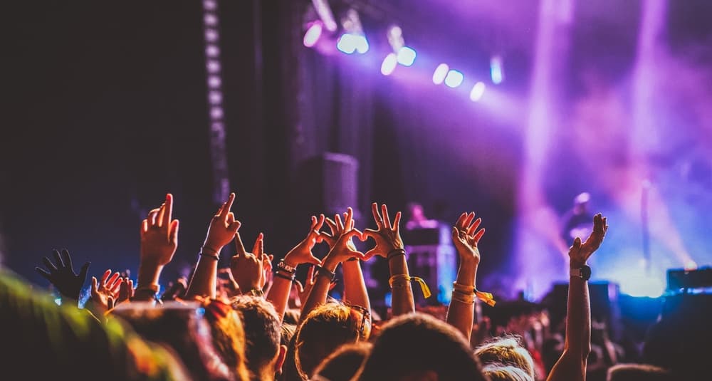 concert crowd