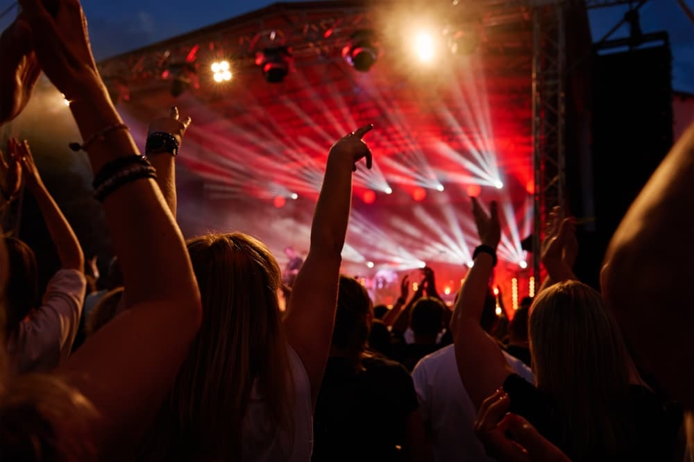 concert crowd