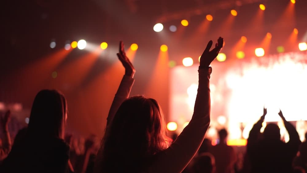 concert crowd