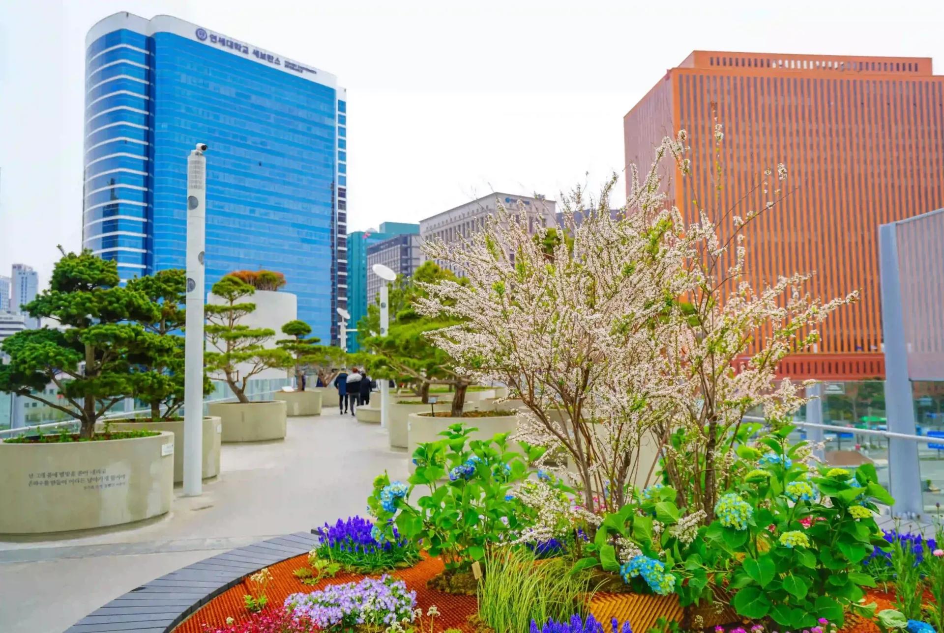 Seoul Accommodation
