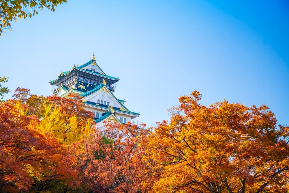 Osaka Castle autumn