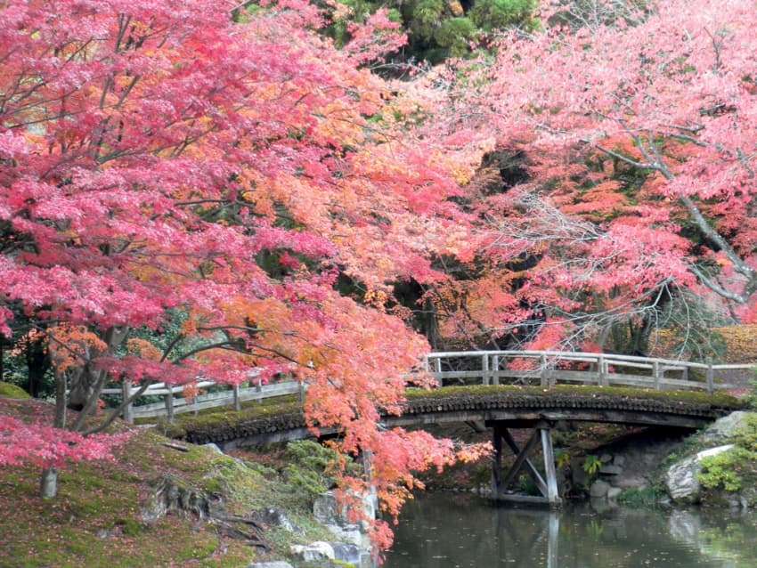 Kyoto Imperial Palace Park