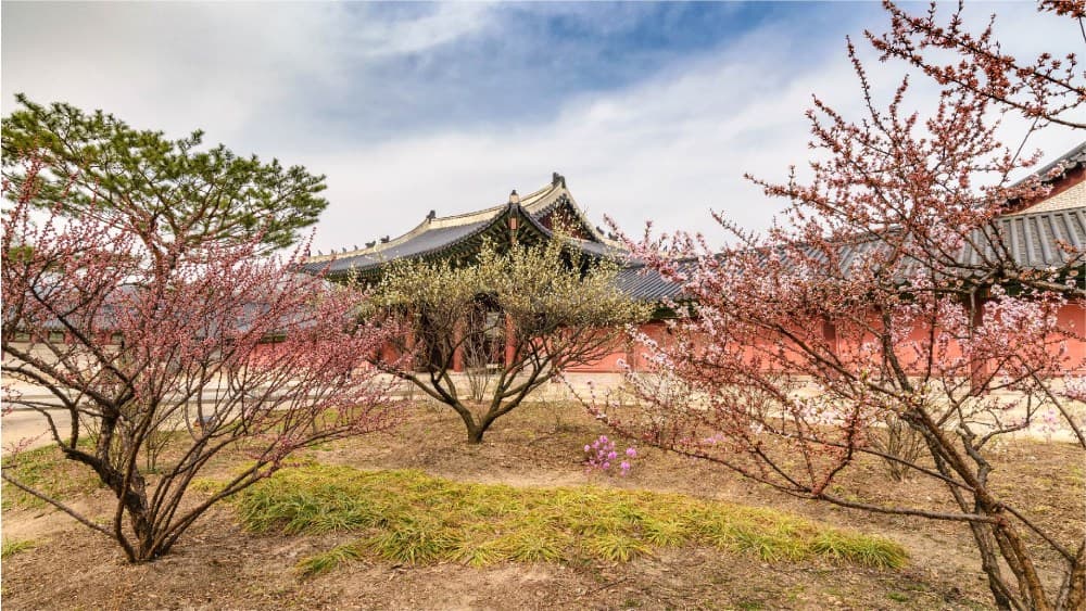 Changdeokgung-Palaces-Secret-Garden