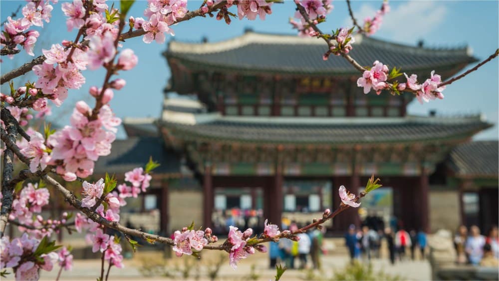 Gyeongbokgung-Palace