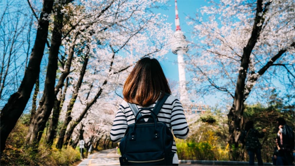 Namsan-Park