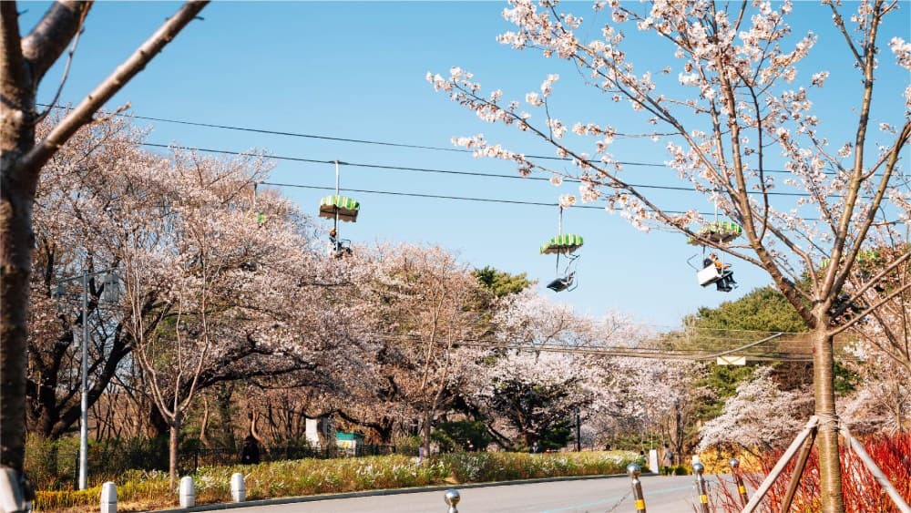 Seoul-Grand-Park