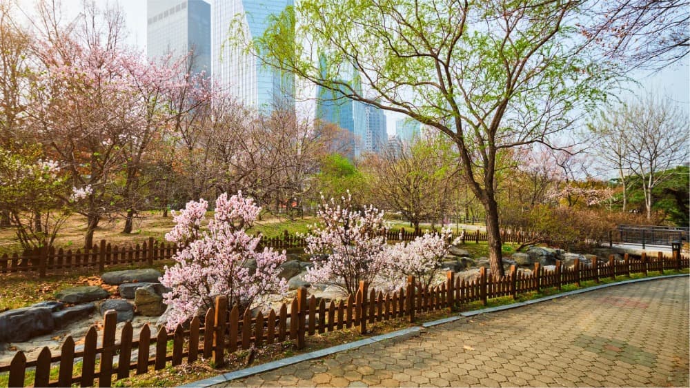 Yeouido Park
