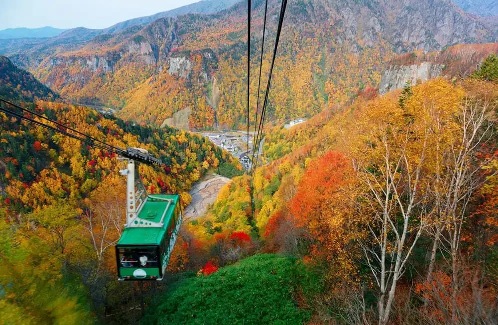 Hokkaido Autumn
