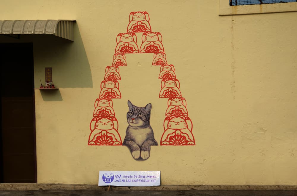 love-me-like-your-fortune-cat