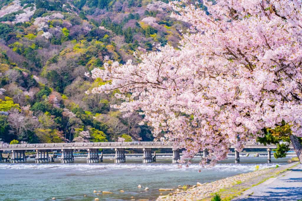 Arashiyama