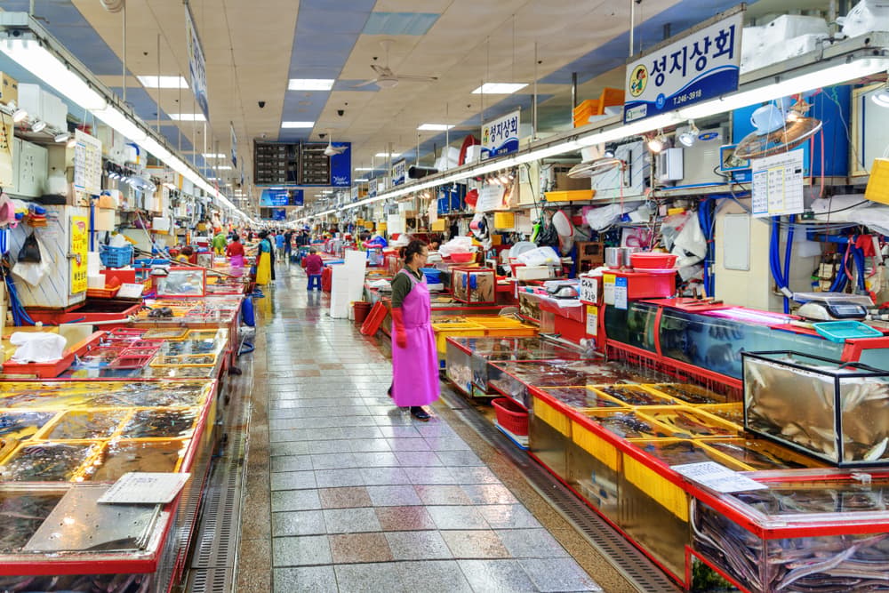 Jagalchi Fish Market