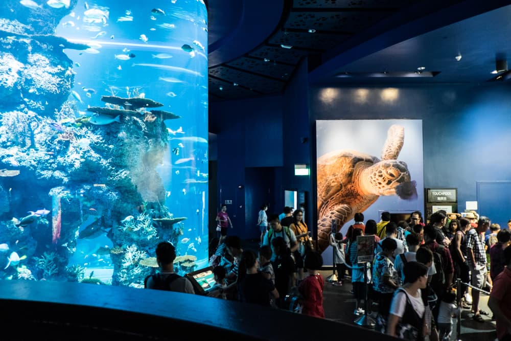 singapore oceanarium, formerly sea aquarium 