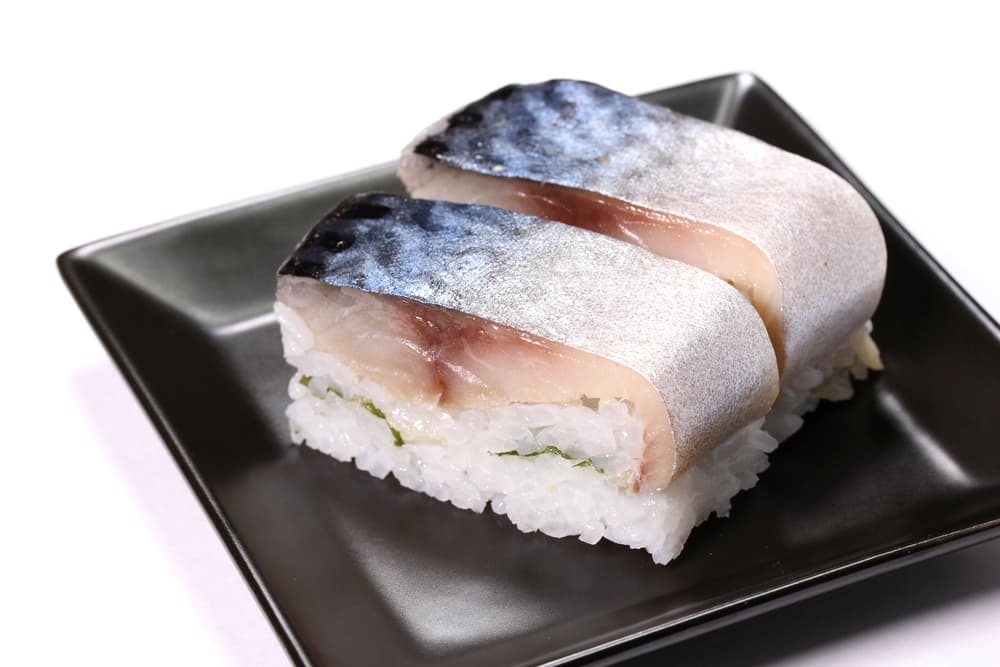 Japanese Saba sushi or raw Mackerel fish sushi kyoto style sushi