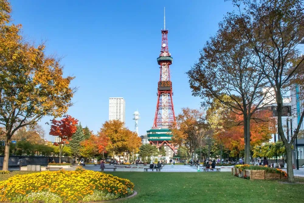 Sapporo Autumn