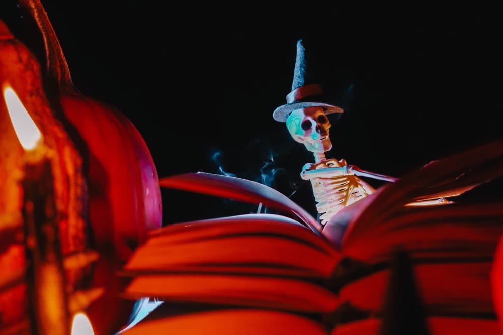 Skeleton Reading Book with Halloween Decoration