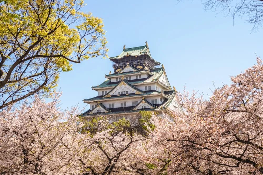 best-cherry-blossom-spot-in-osaka