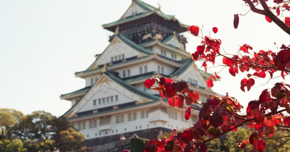 Osaka Castle Autumn Foliage in November