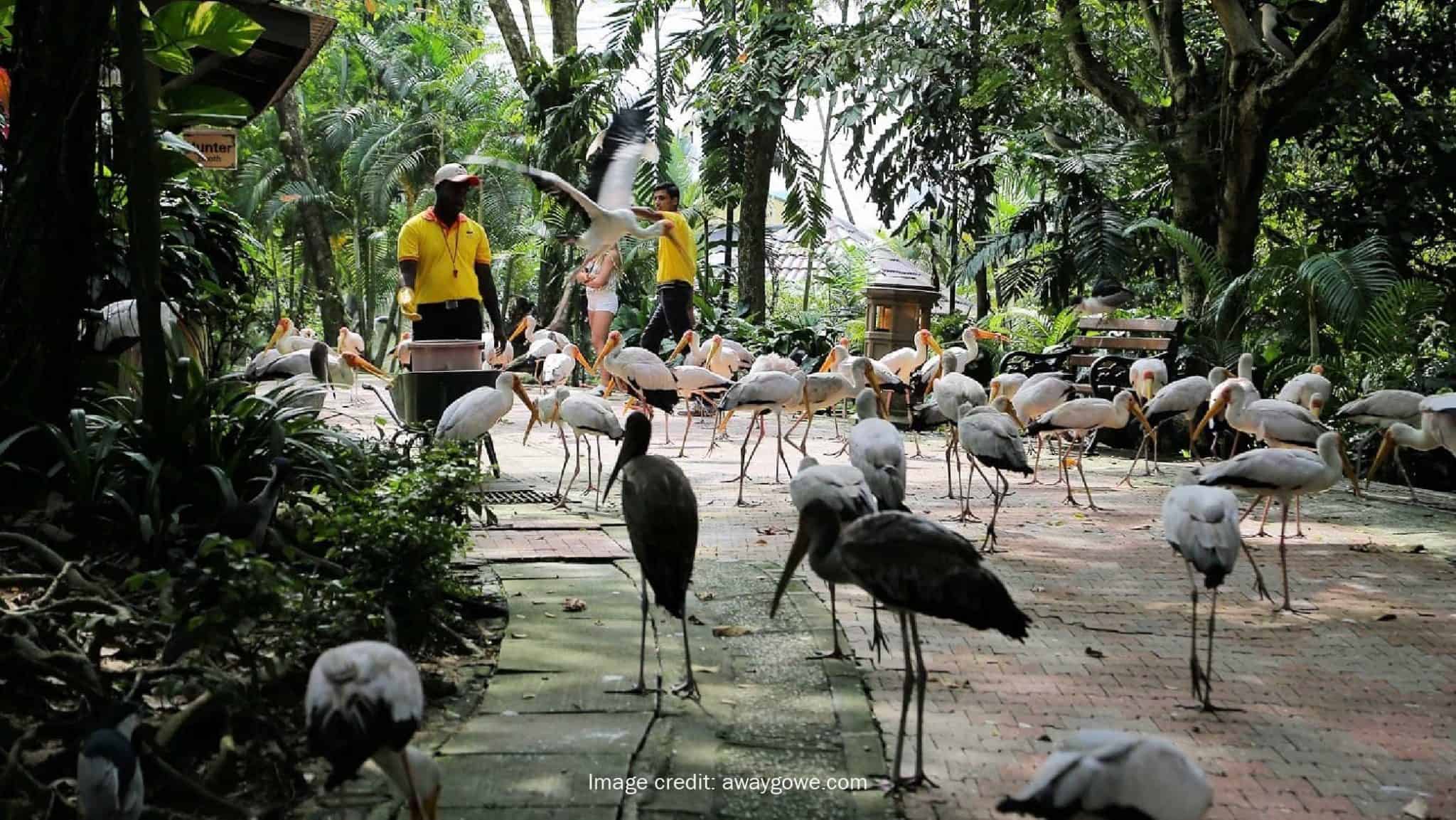 kuala-Lumpur-Bird-Park