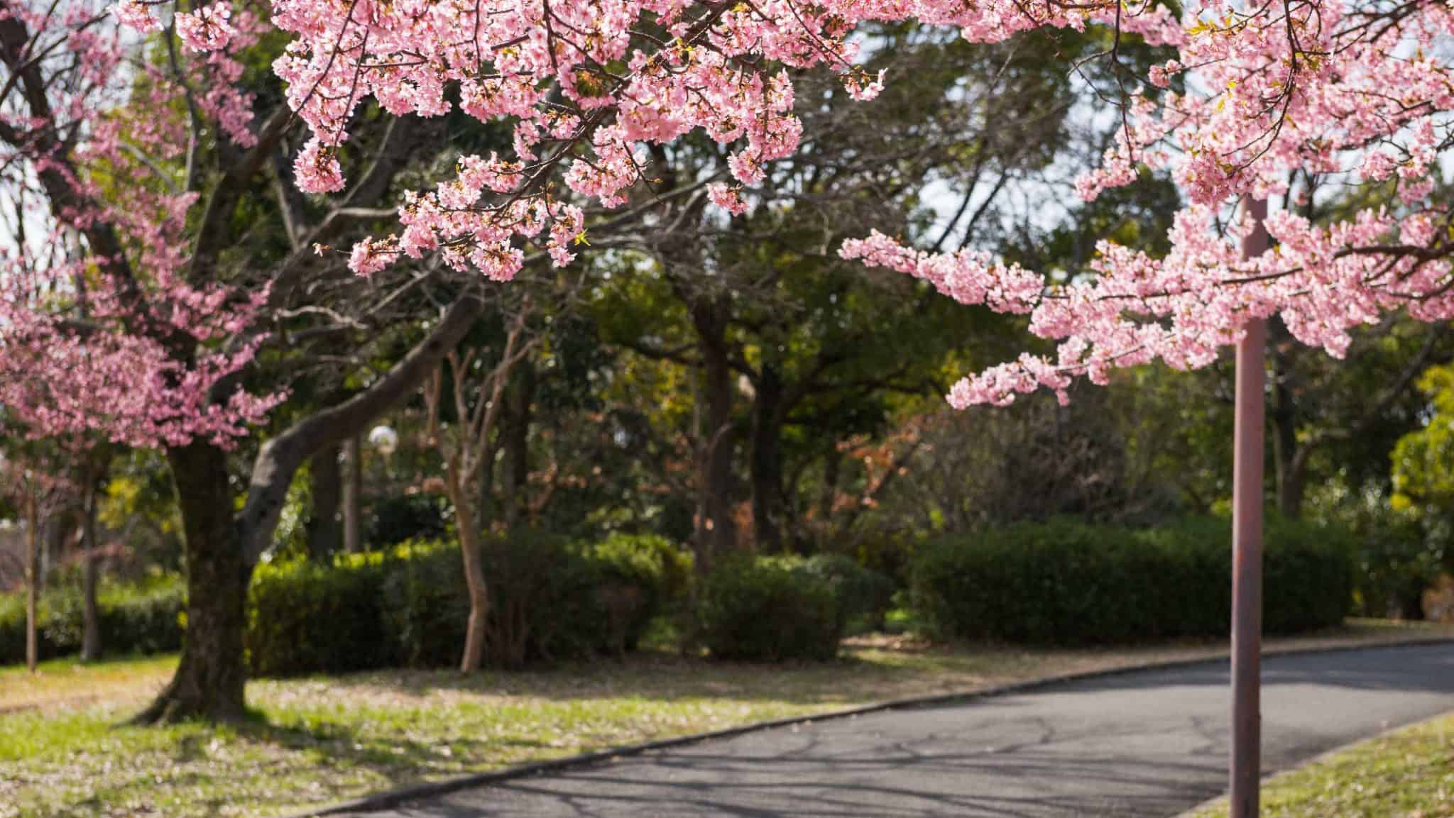 Tsurumi-Ryokuchi-Park