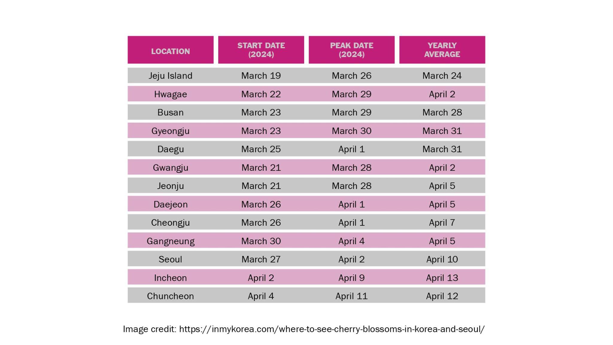 Cherry-Blossom-Schedule 2024