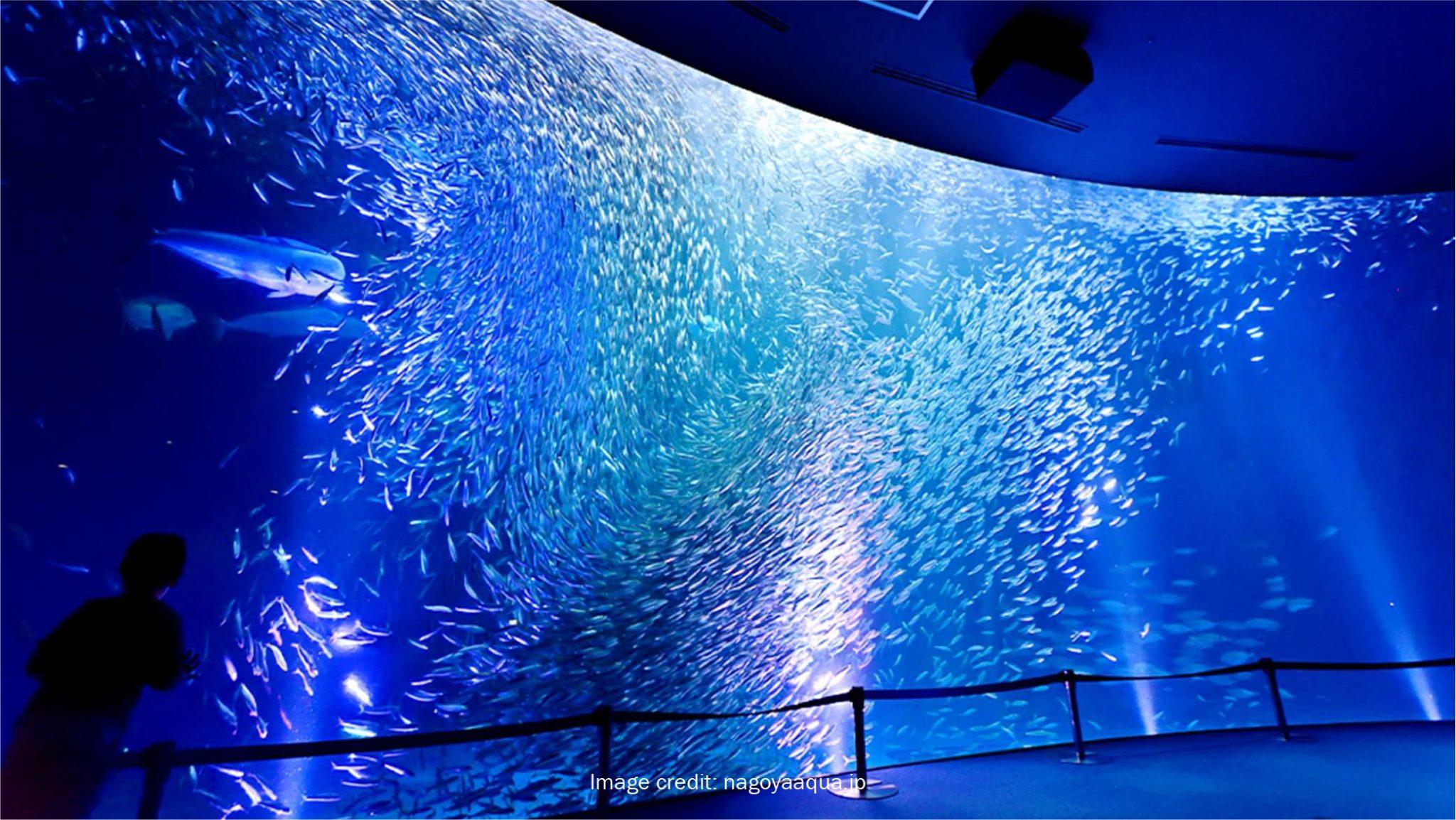 nagoya-aquarium