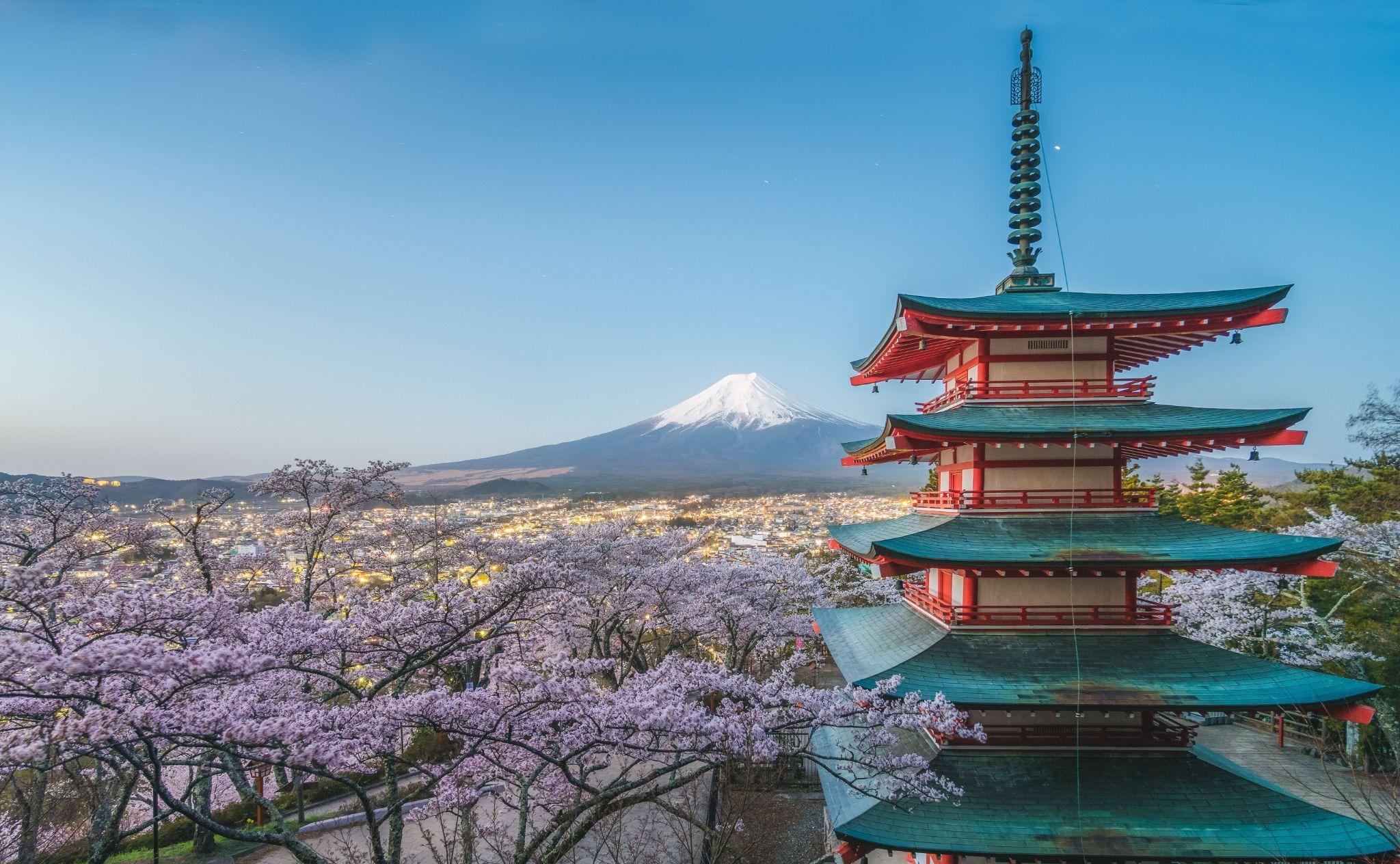 Japan Arrival Card Online Guide for Tourists