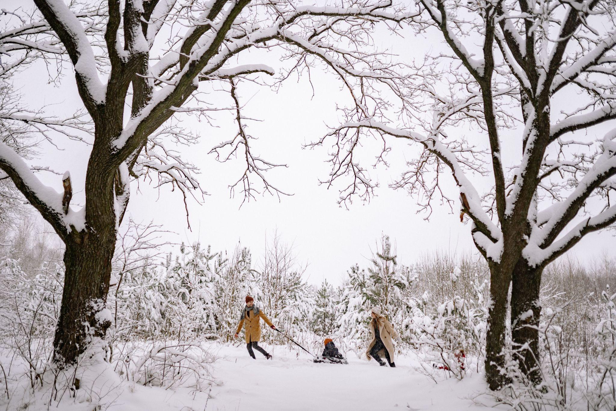 Best Places to Visit in December—Festive Destinations Across Asia