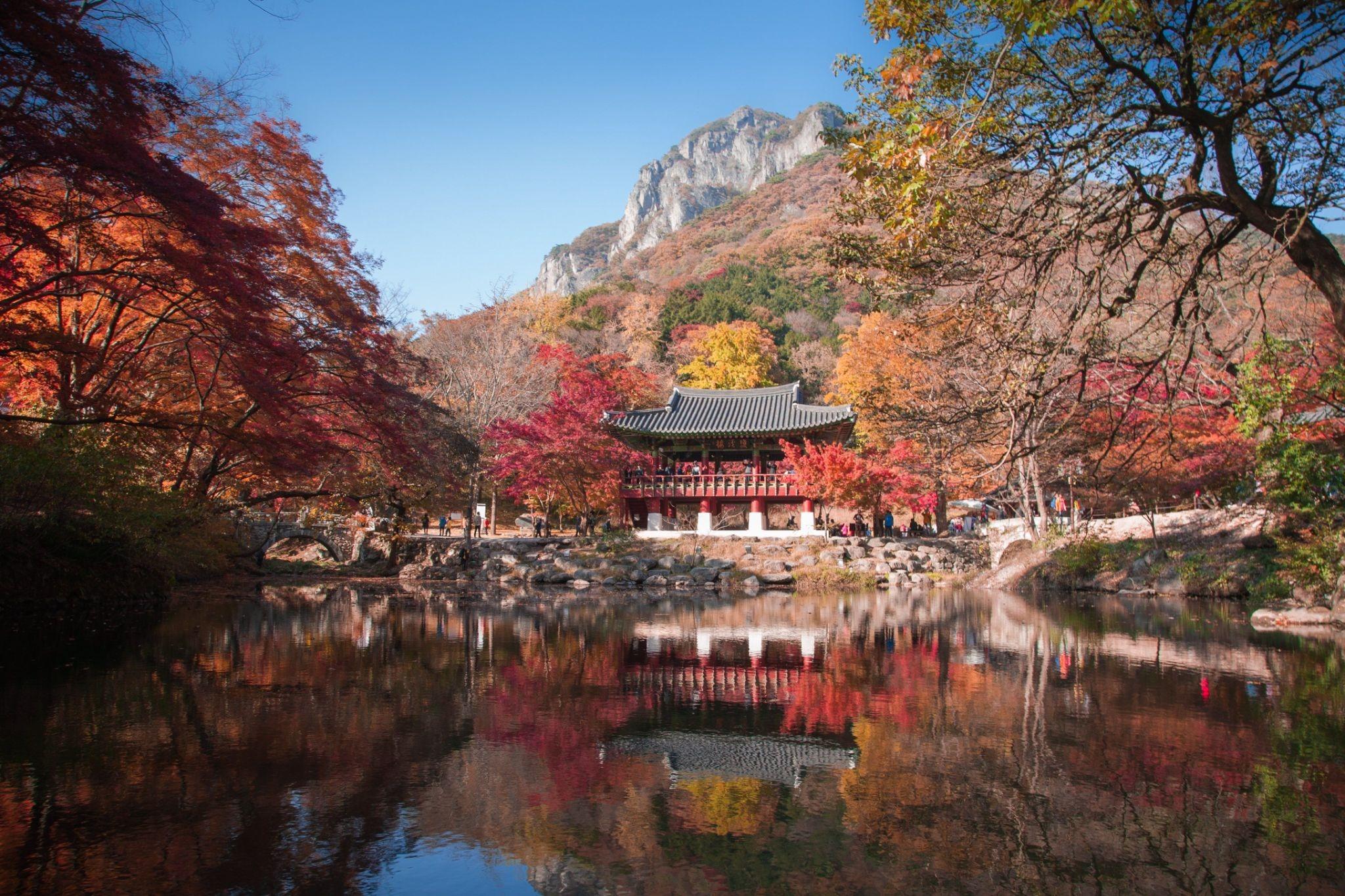 Top Places to Visit During Autumn in Korea
