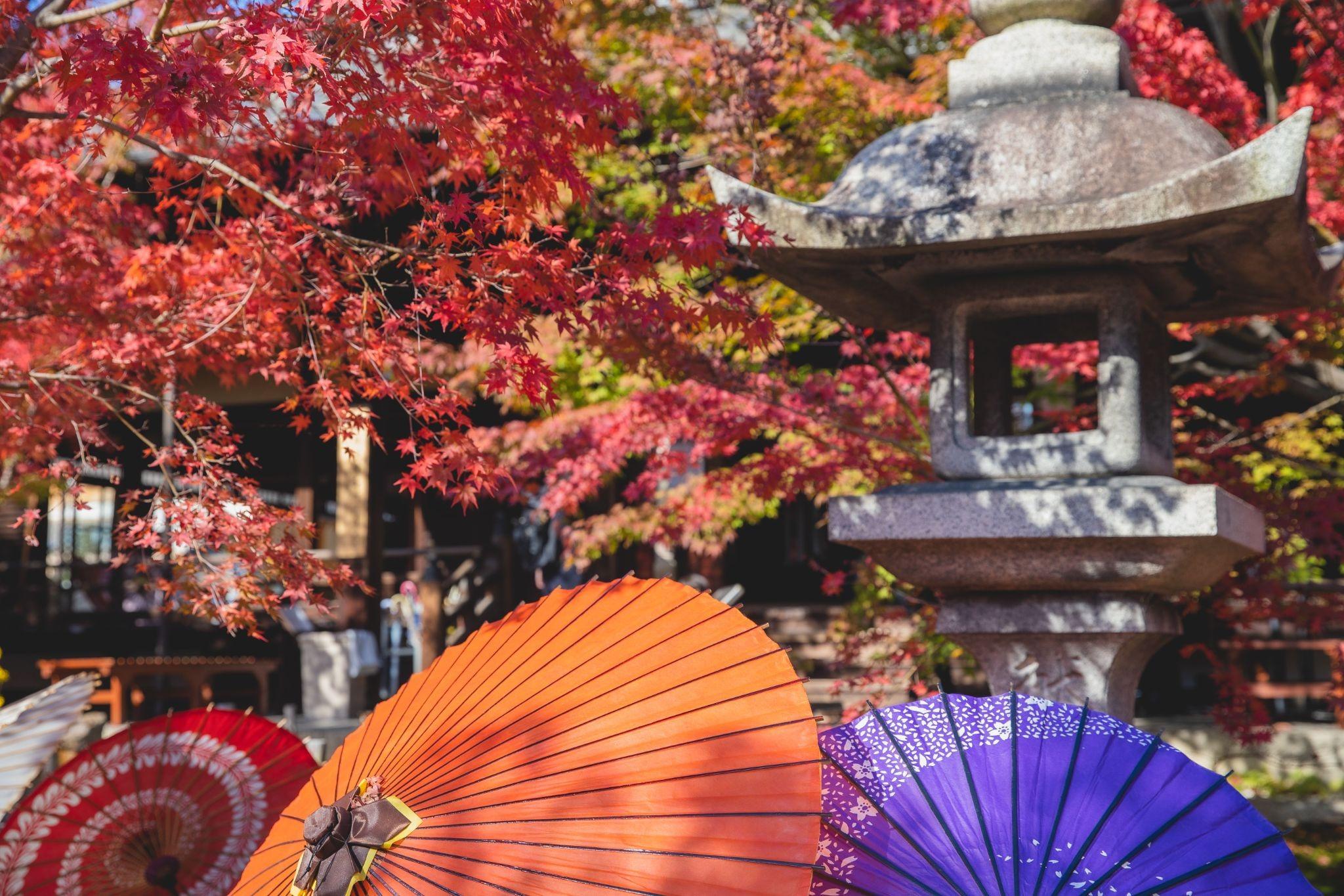 Kyoto 2-Day Autumn Itinerary — Temples, Foliage, and Scenic Walks
