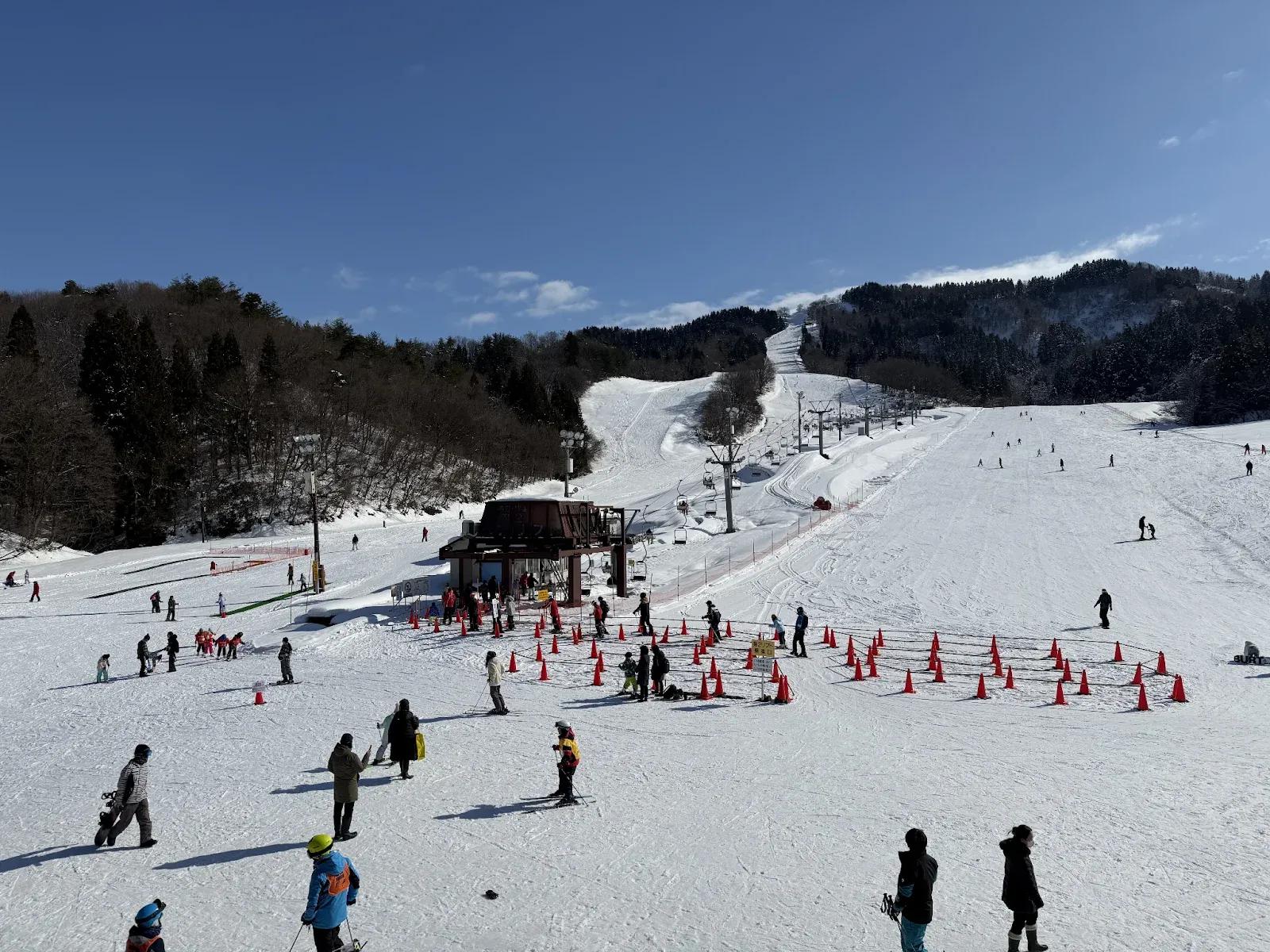 Niigata