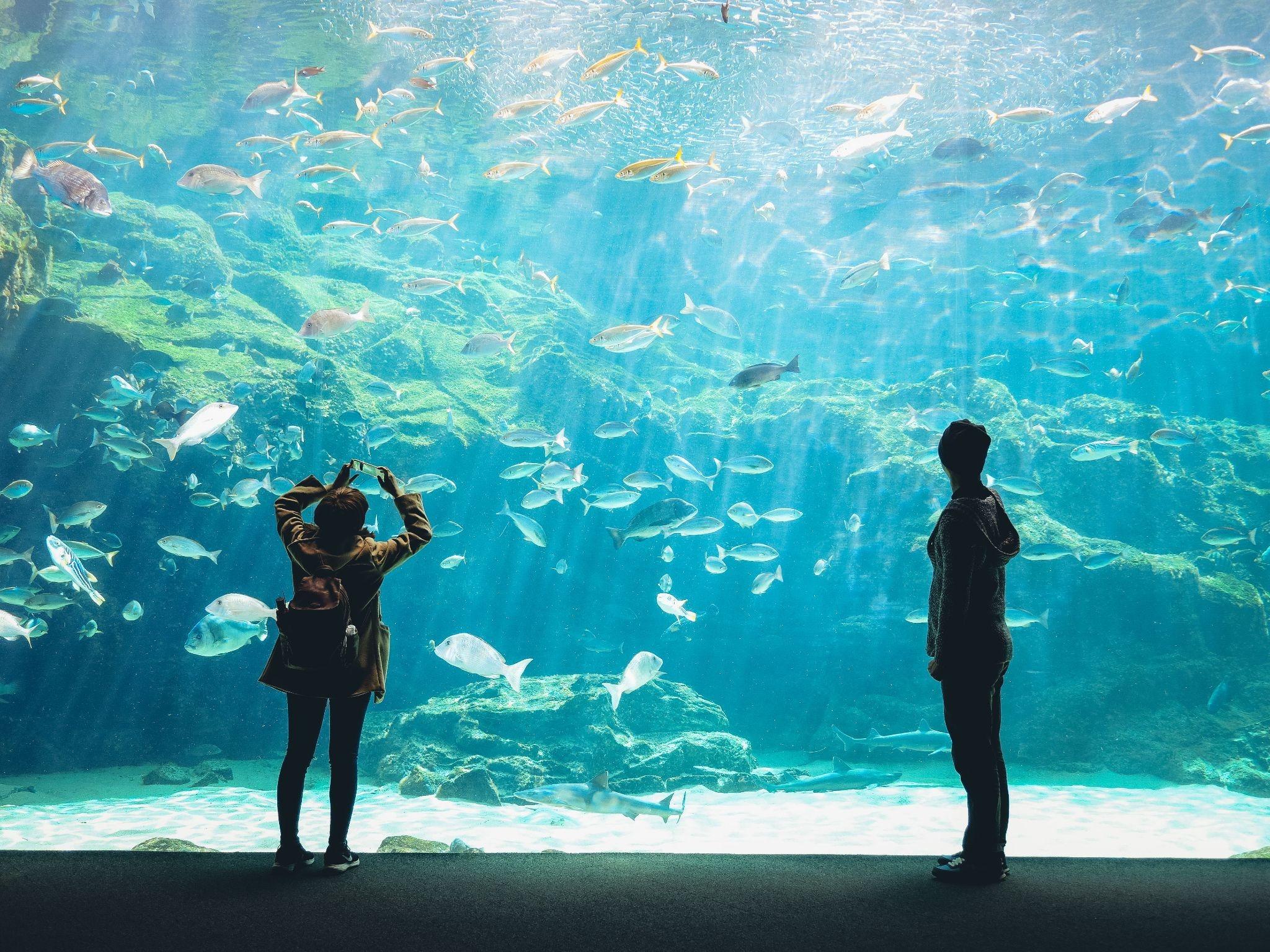 Top Things to Do in Osaka for First-Time Visitors